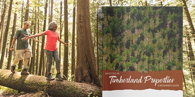 Investing in Timberland - EGuide