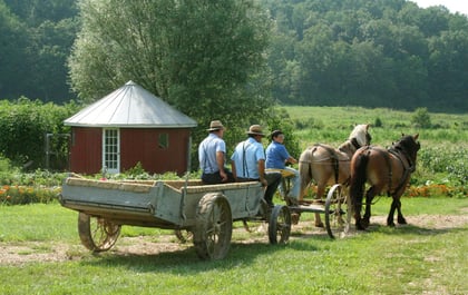 Mennonites & Me | Rethink Rural Blog | Rural Life
