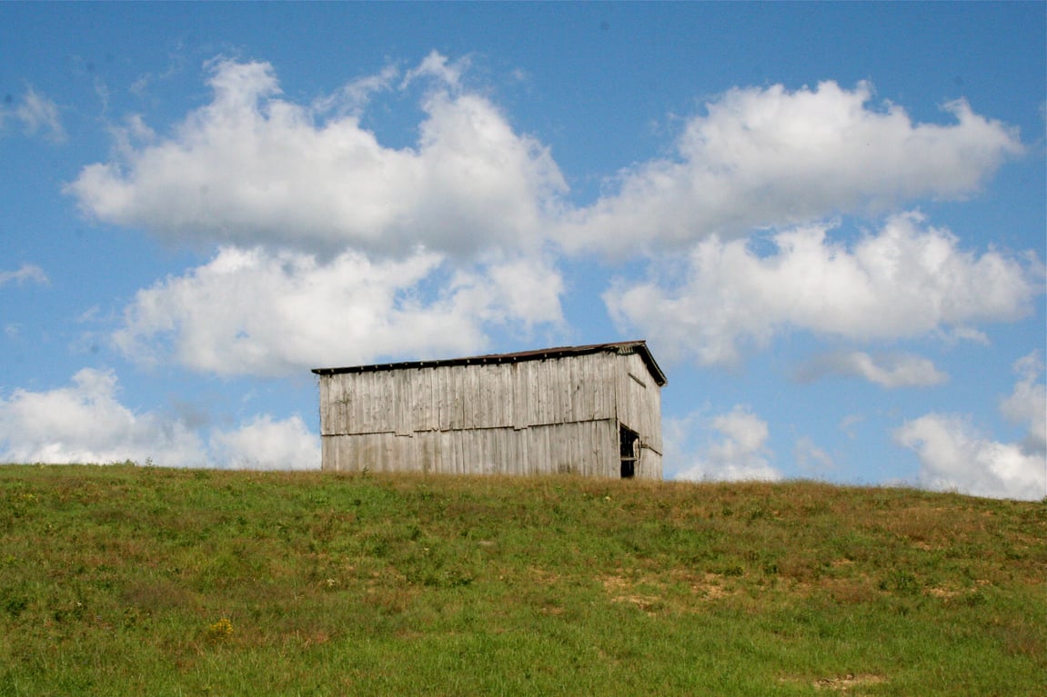 Country Living: Where You Can Be Prepared for Just About Anything — But First, How to Weather the Pandemic