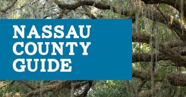 Nassau County Land Guide | Raydient Places (Alt Layout)