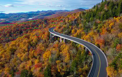 The Science Behind Why Leaves Change Color in Autumn