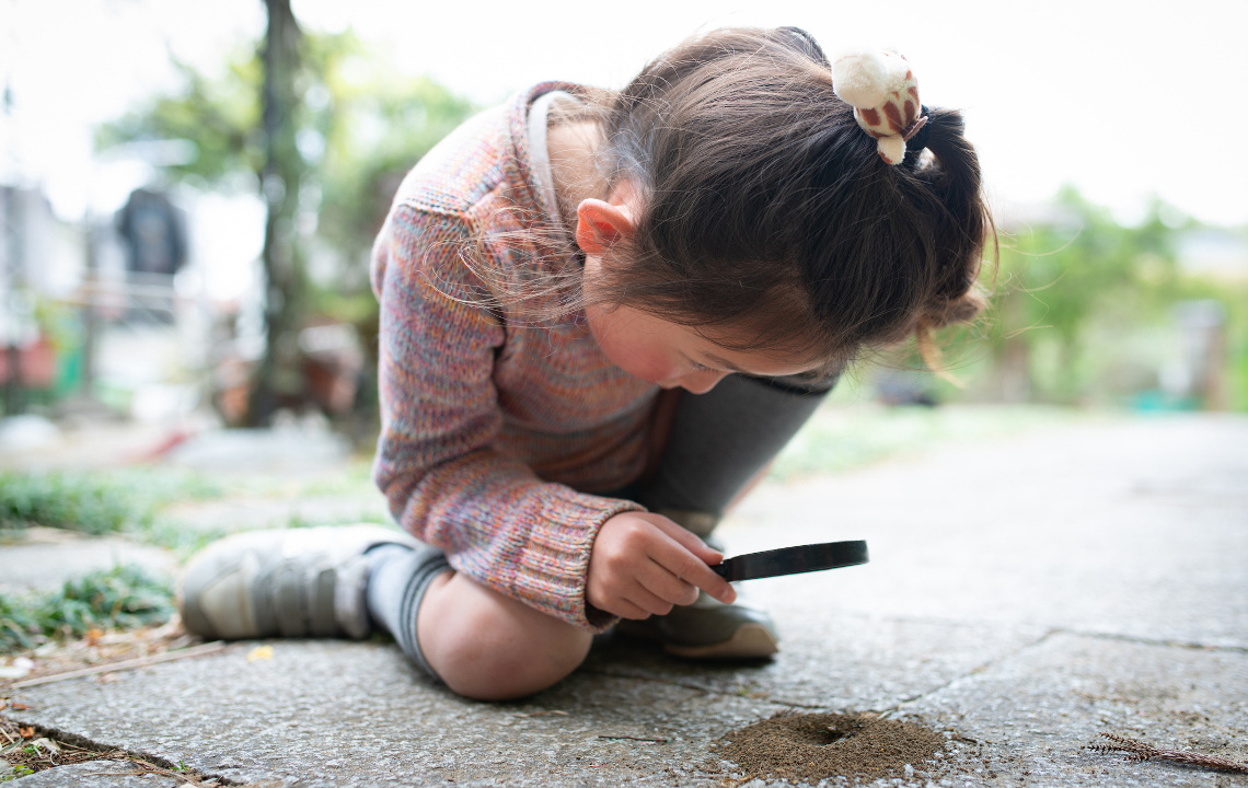 Summertime Science Part 2: How To Build A DIY Ant Farm