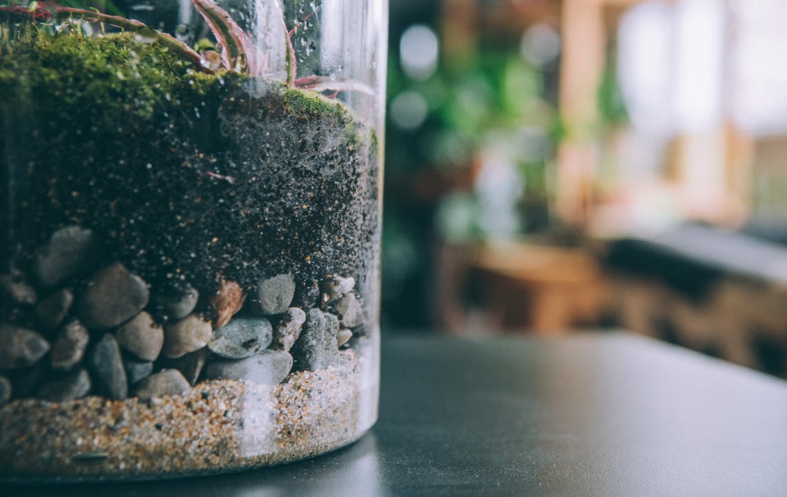 Summertime Science Part 3: Building a DIY Terrarium