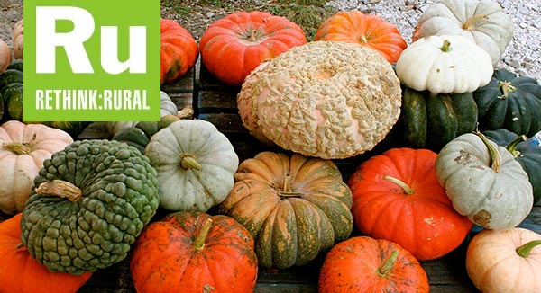 Picking the Perfect Pumpkin: A guide to 17 heirloom pumpkin varieties