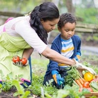 Mother and Son picking vegetables in the garden